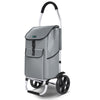 2 Räder Einkaufstrolley Klappbar mit 58L Wasserdichter Tasche, Grau