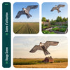 Vogelschreck Falke Drachen Stil A (ohne Stange) - VOUNOT DE