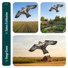 Vogelschreck Falke Drachen Stil E (ohne Stange) - VOUNOT DE