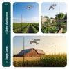 2er Set Vogelschreck Falke Drachen mit 4m Teleskopstange, Stil A&G - VOUNOT DE
